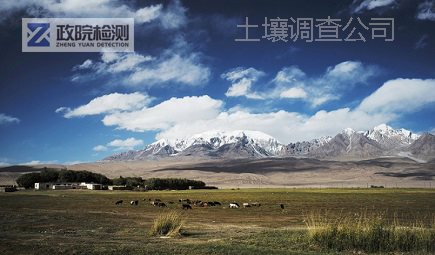 �����{�鹫˾