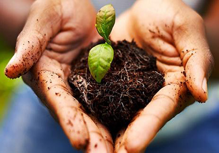 �����̏U��z�y(c��)